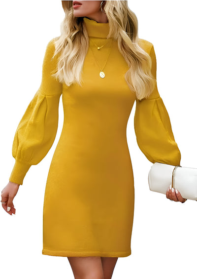 Viven - Strickkleid mit Rollkragen