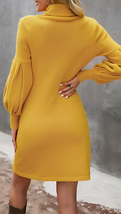 Viven - Strickkleid mit Rollkragen